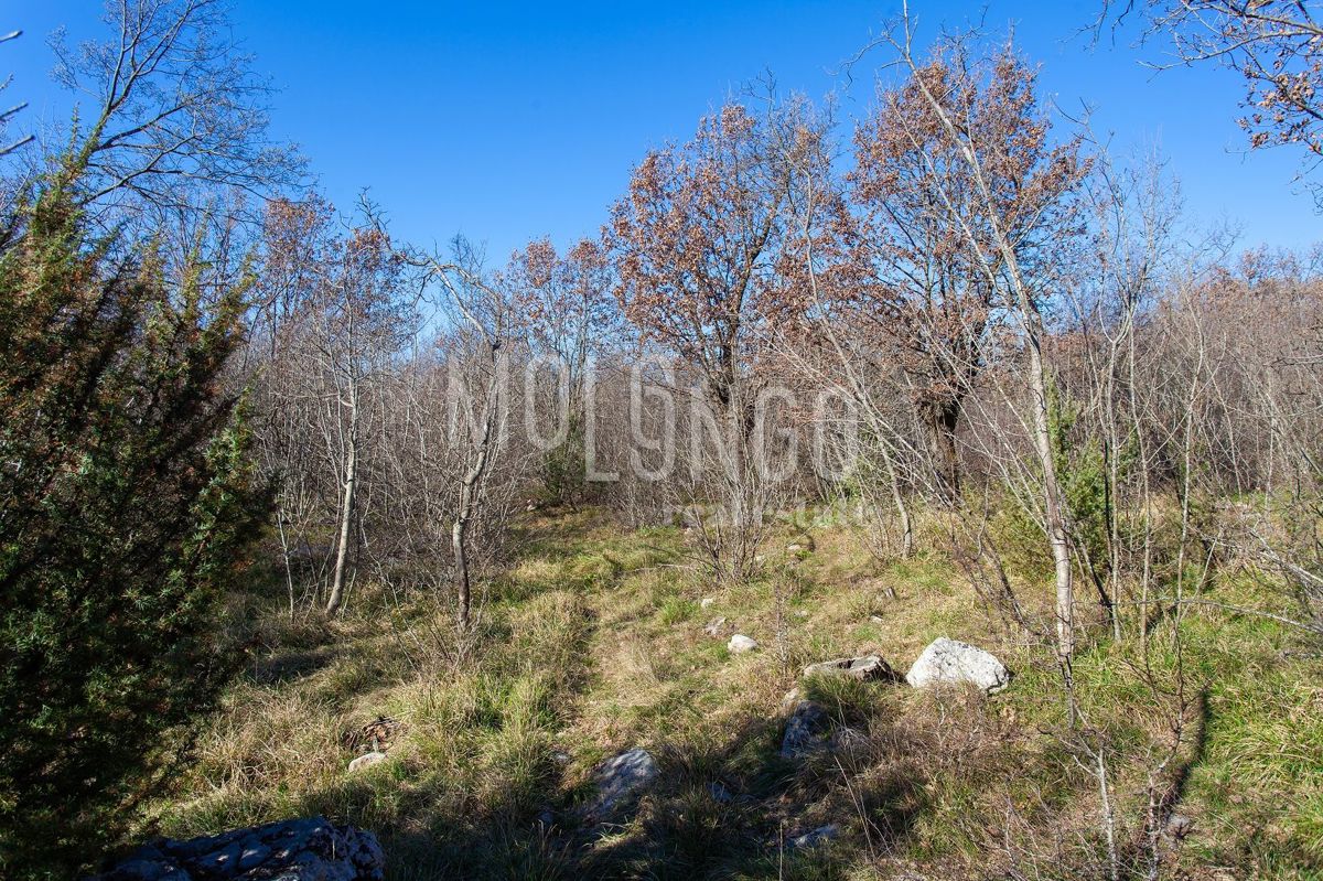 Terreno Vrh, Krk, 46.116m2