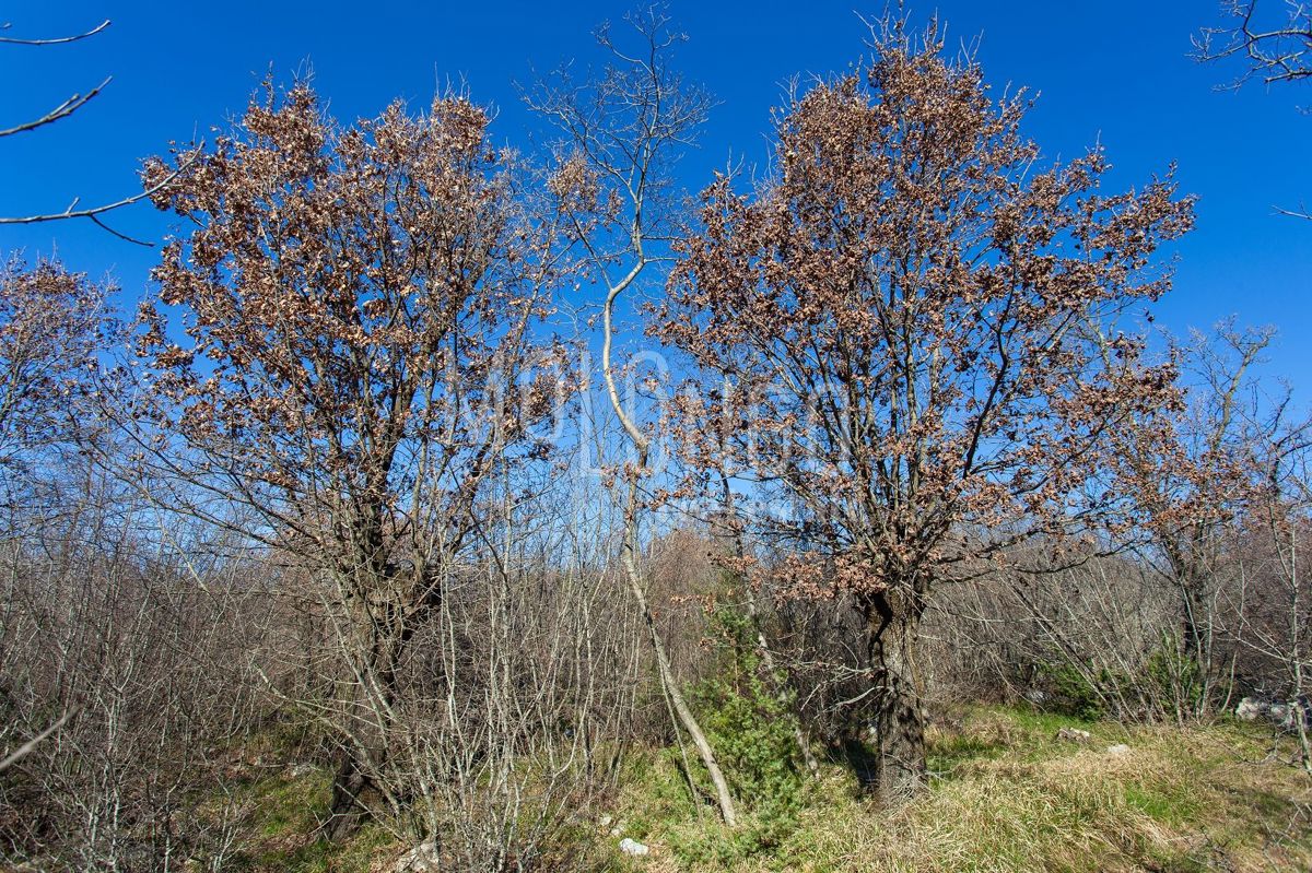 Terreno Vrh, Krk, 46.116m2