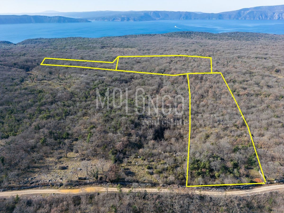 Terreno Vrh, Krk, 46.116m2