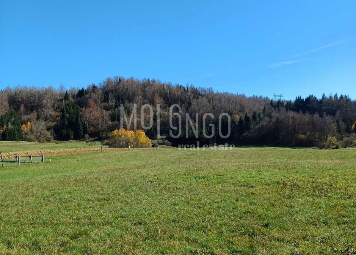 Terreno Sunger, Mrkopalj, 7.180m2