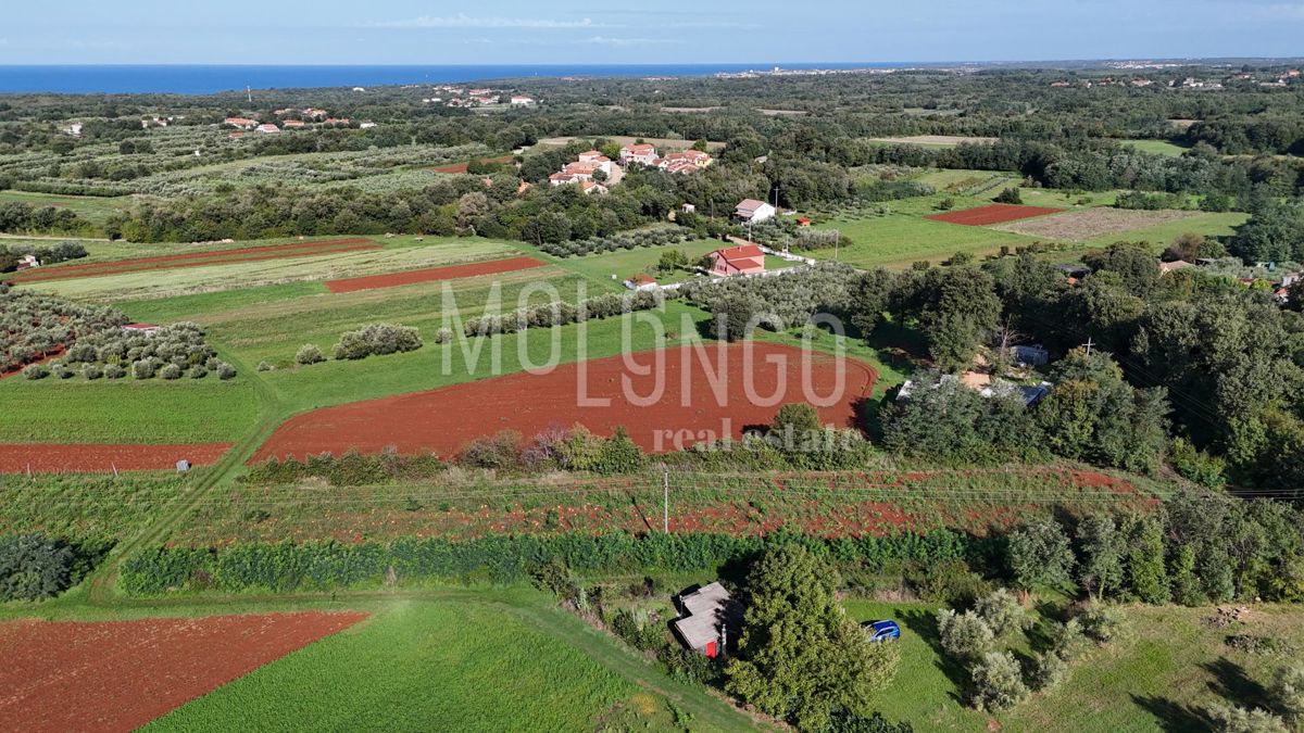 Terreno Lovrečica, Umag, 1.976m2