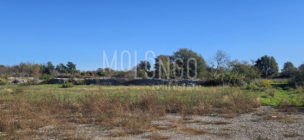 Terreno Vodnjan, 514m2