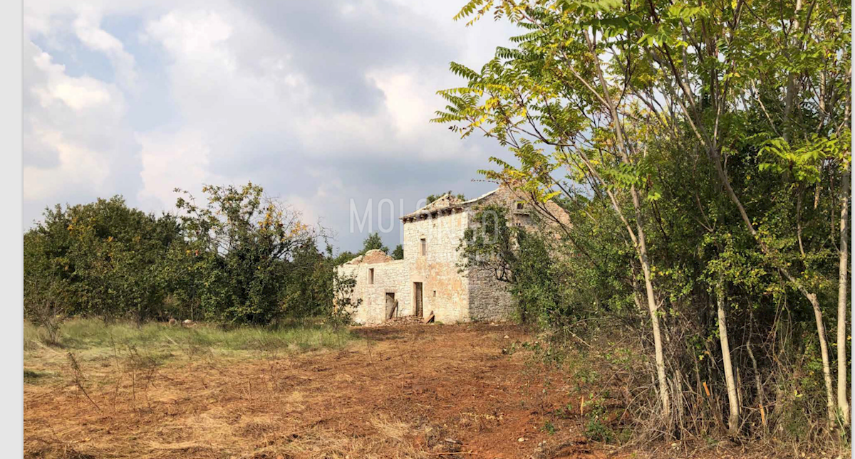 Terreno Juršići, Svetvinčenat, 6.133m2