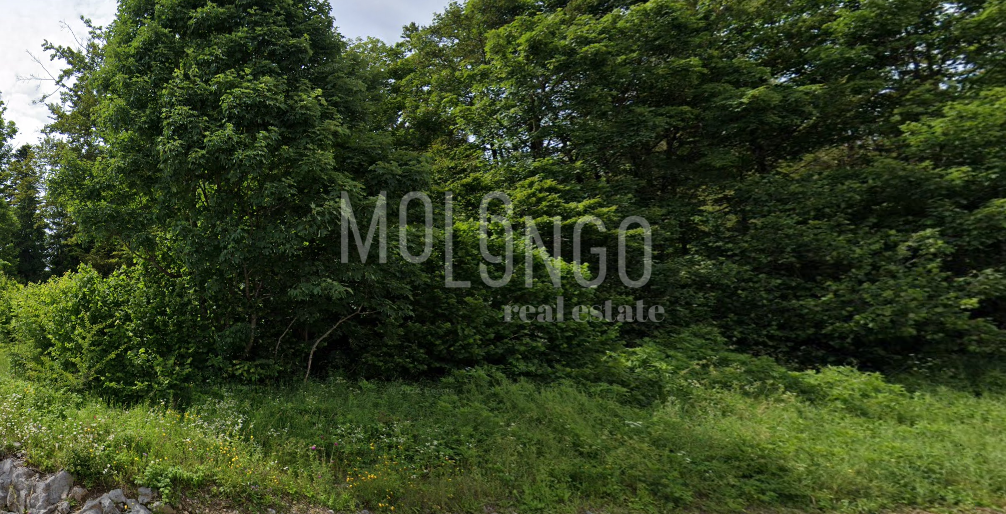 Terreno Delnice, 1.380m2