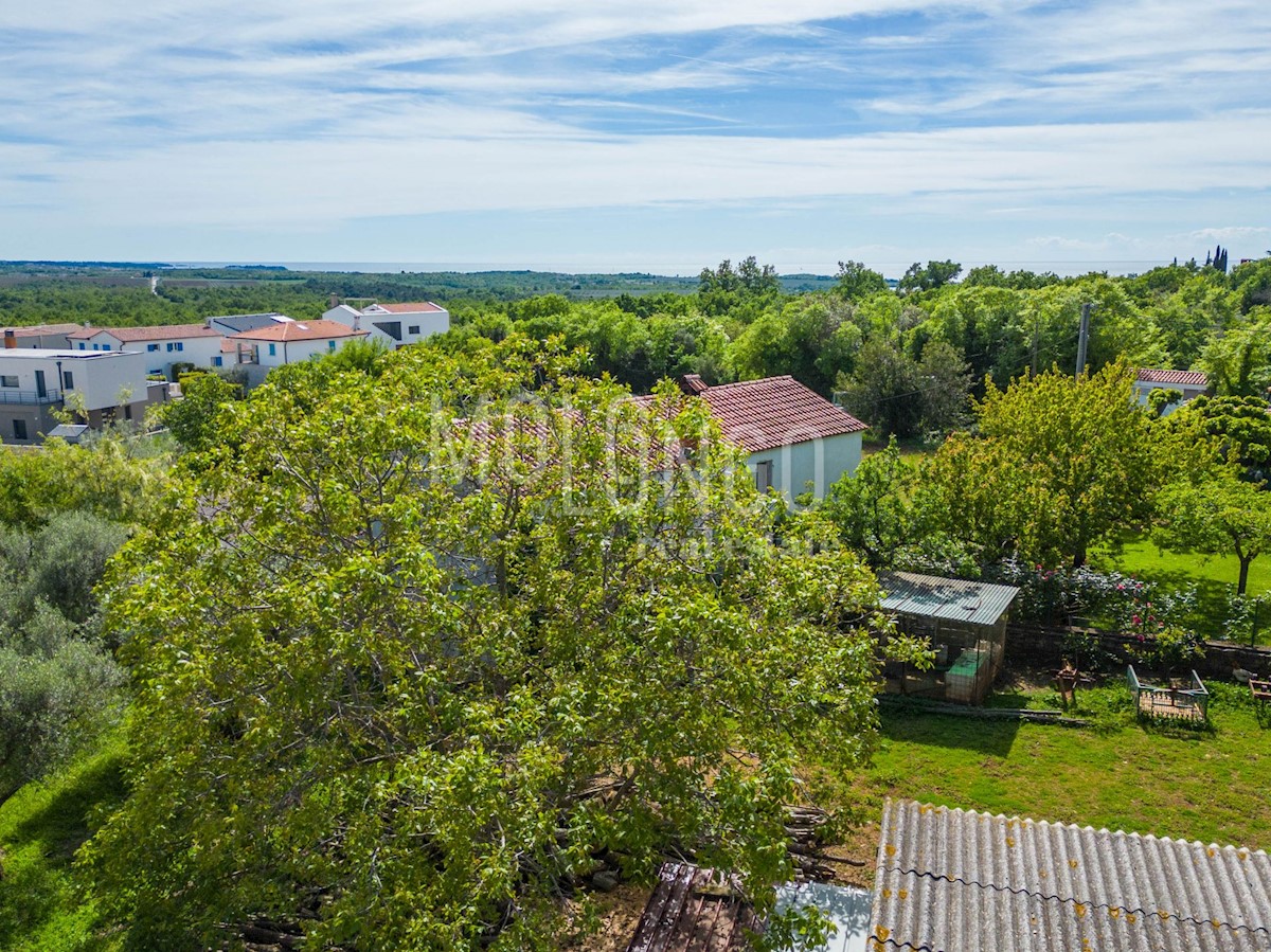 Appartamento/appartamento Poreč, 152,13m2