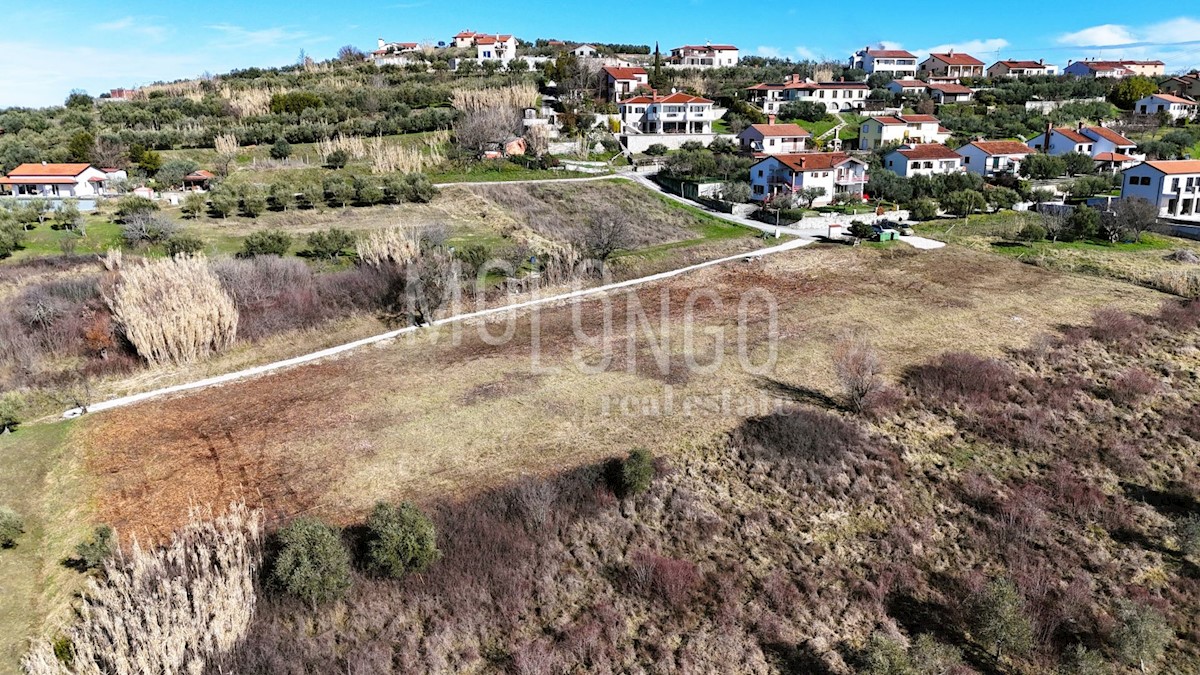 Terreno Buje, 1.036m2