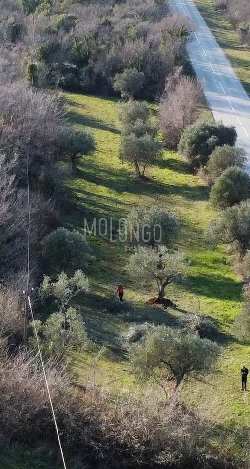 Terreno Bale, 3.000m2