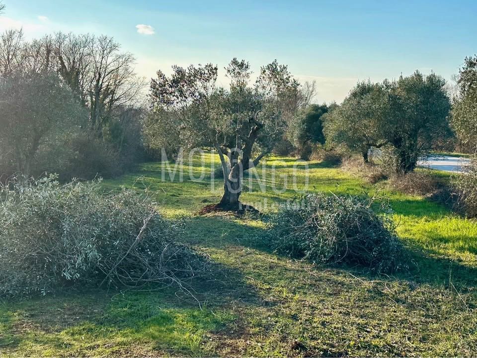 Terreno Bale, 3.000m2