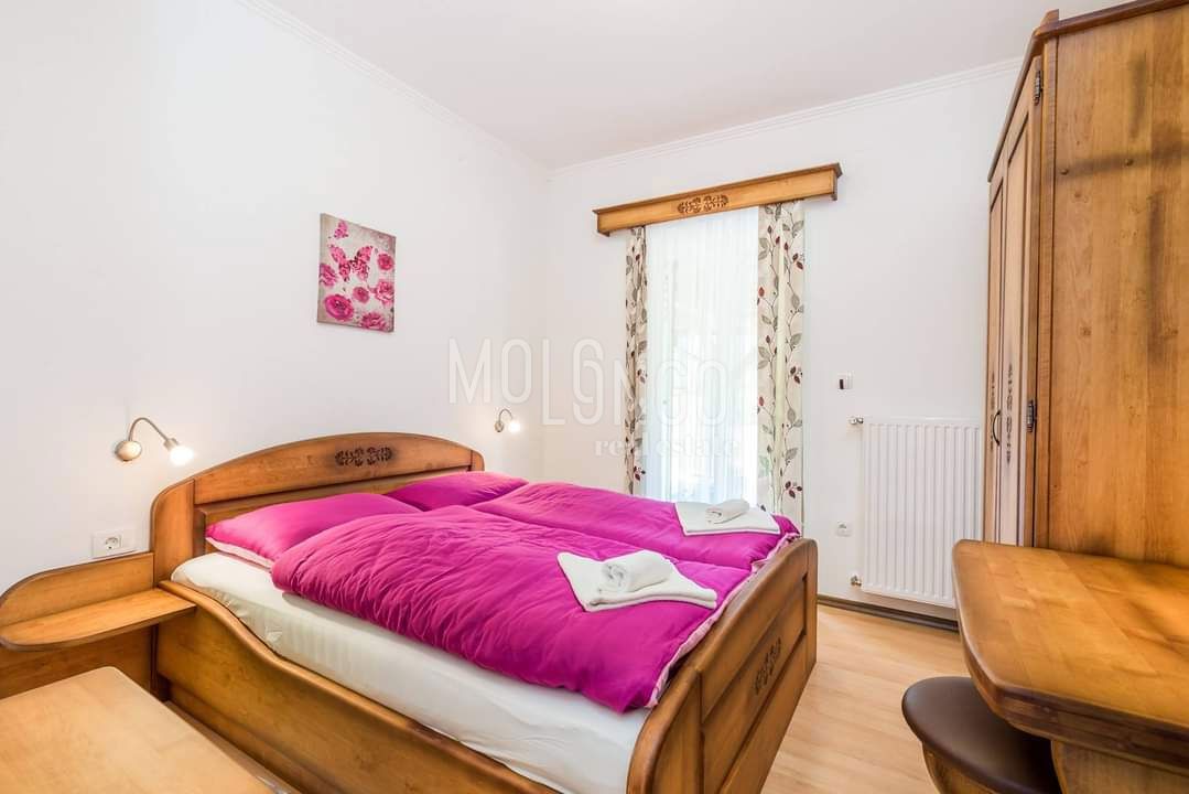 Casa Jasenak, Ogulin, 1.500m2