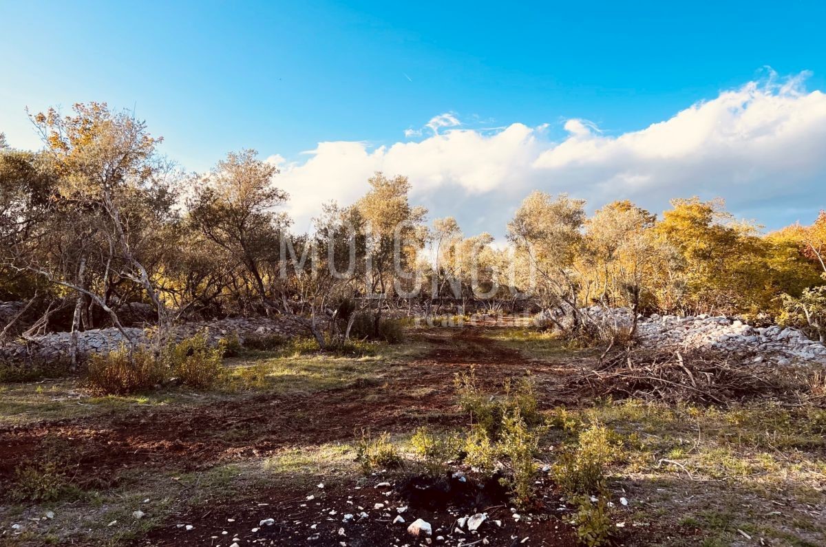 Terreno Vrbnik, 484m2