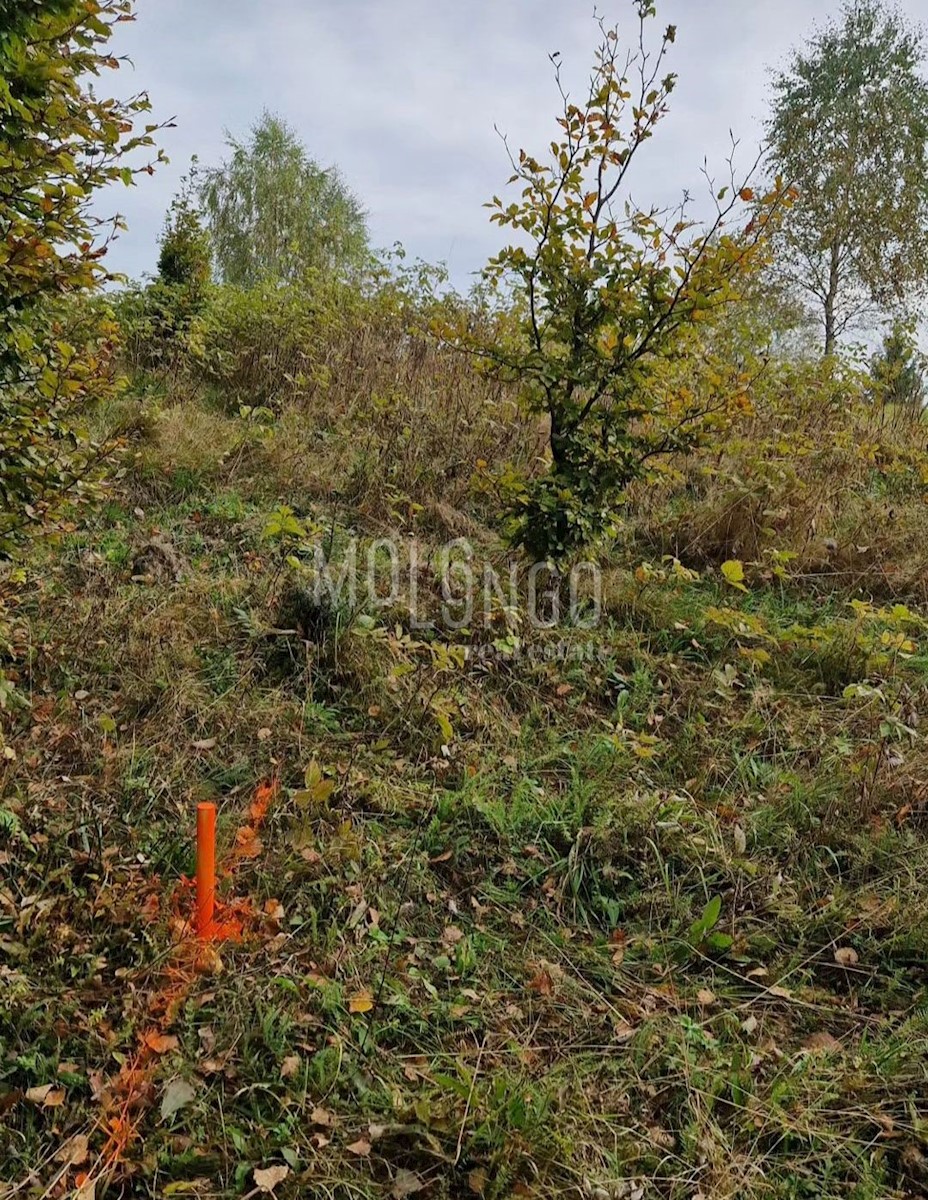 Terreno Zelin Mrzlovodički, Lokve, 983m2