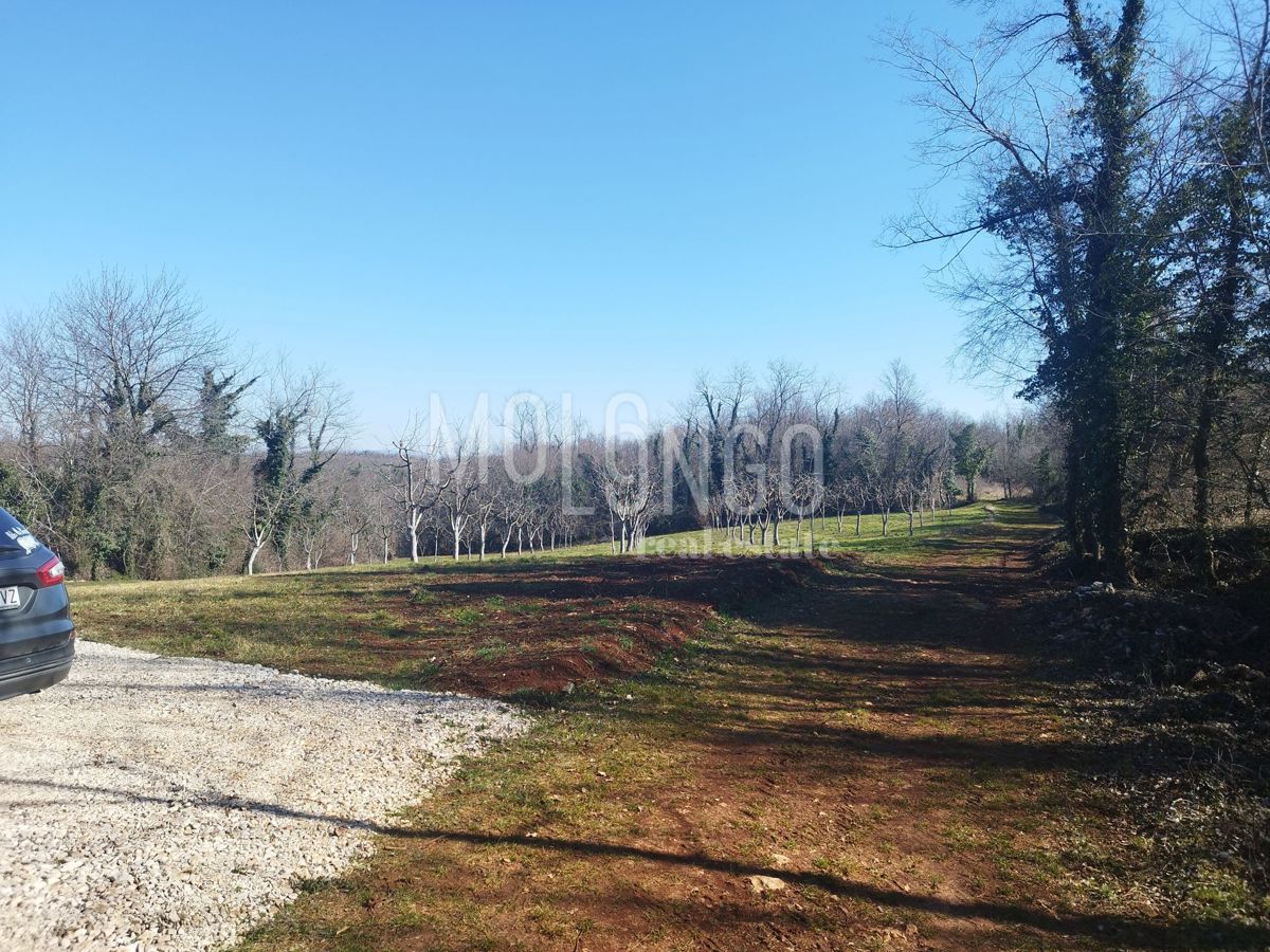 Terreno Višnjan, 3.676m2