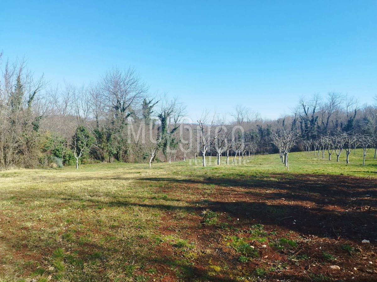 Terreno Višnjan, 3.676m2