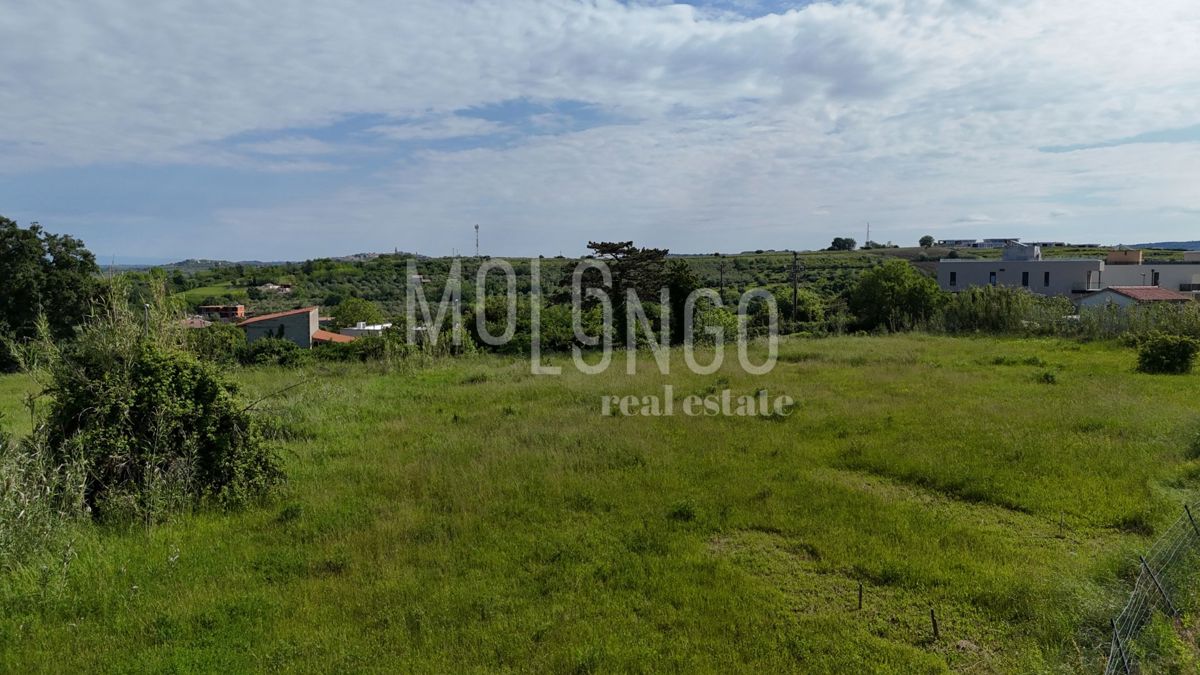 ISTRIA, BRTONIGLA – Terreno edificabile 822m²