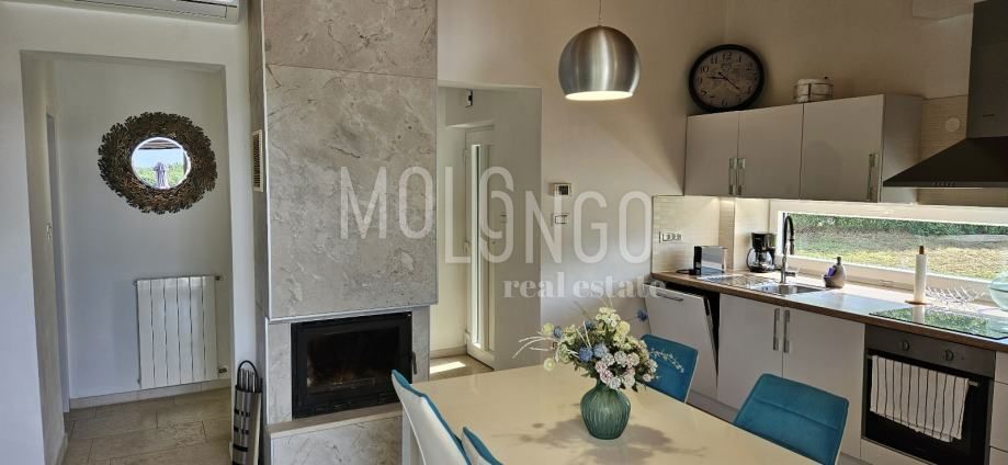 ISTRIA, SV. PETAR U ŠUMI — Villa con piscina nella natura