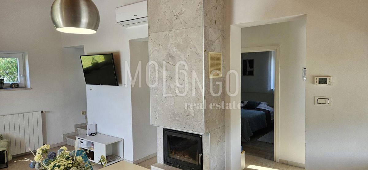 ISTRIA, SV. PETAR U ŠUMI — Villa con piscina nella natura