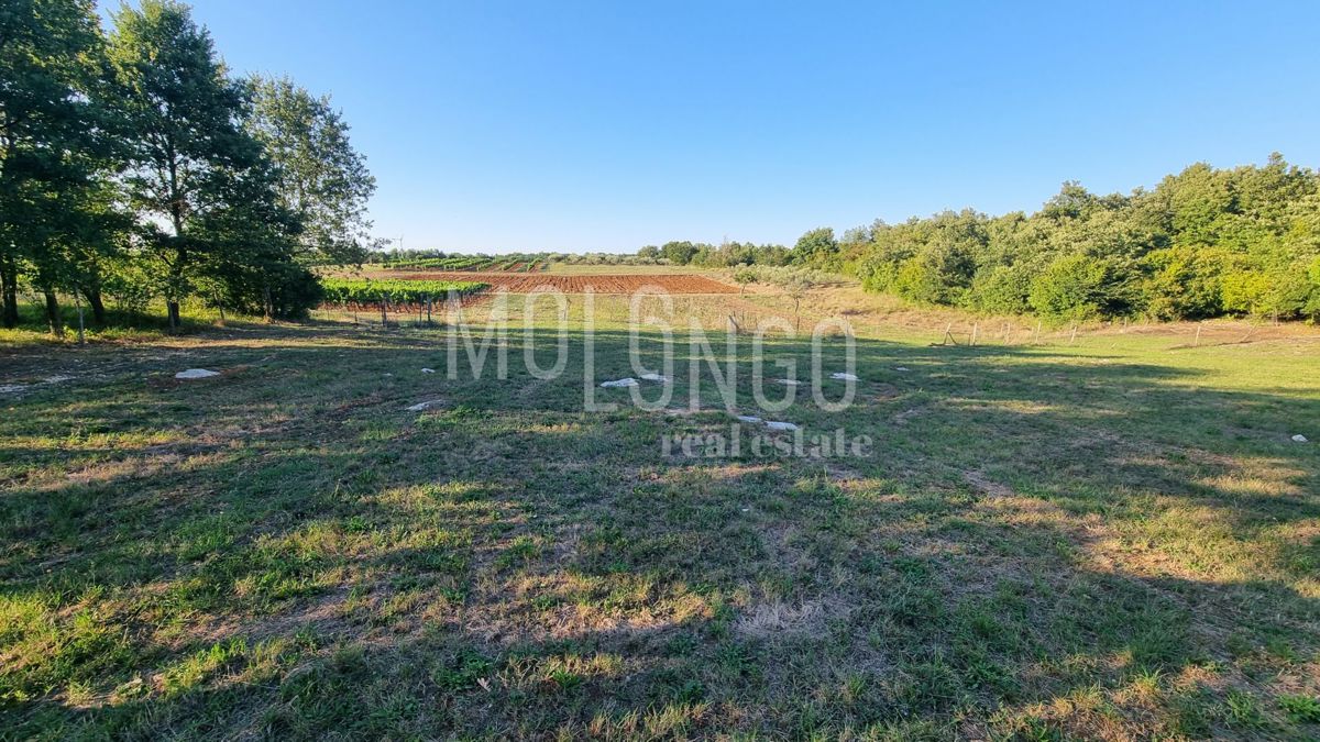 Terreno Medvidići, Sveti Lovreč, 762m2