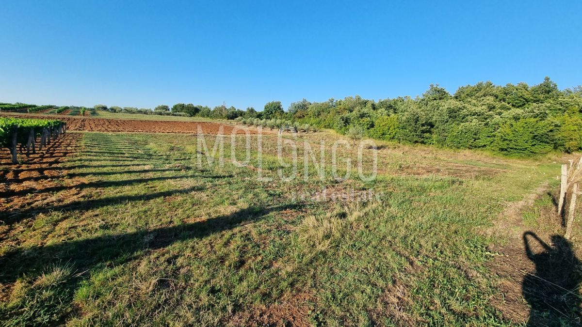 Terreno Medvidići, Sveti Lovreč, 762m2