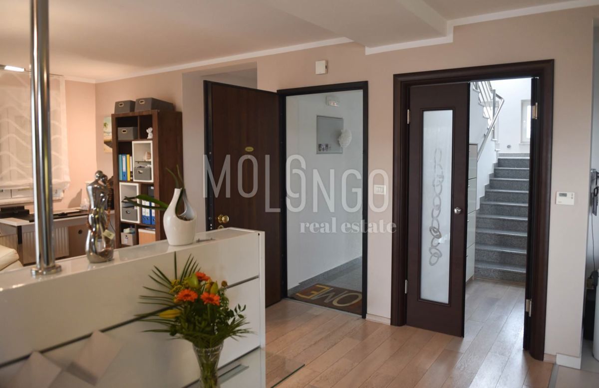 Appartamento/appartamento Drenova, Rijeka, 185m2