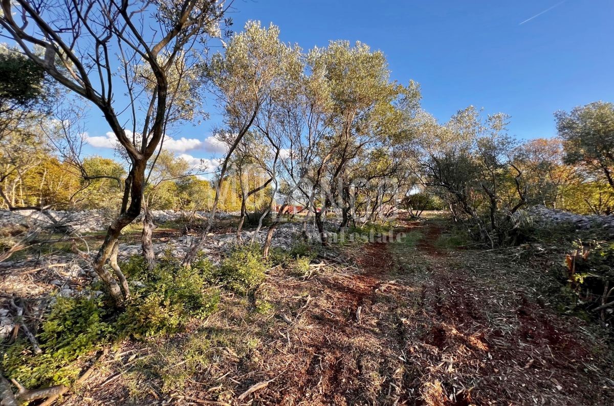 Terreno Vrbnik, 484m2