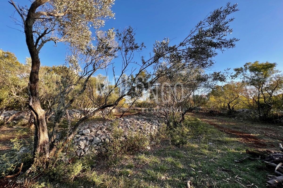 Terreno Vrbnik, 484m2