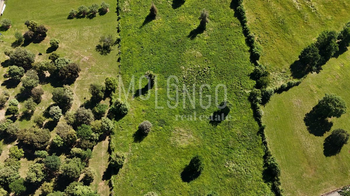 Terreno Funtana, 10.549m2