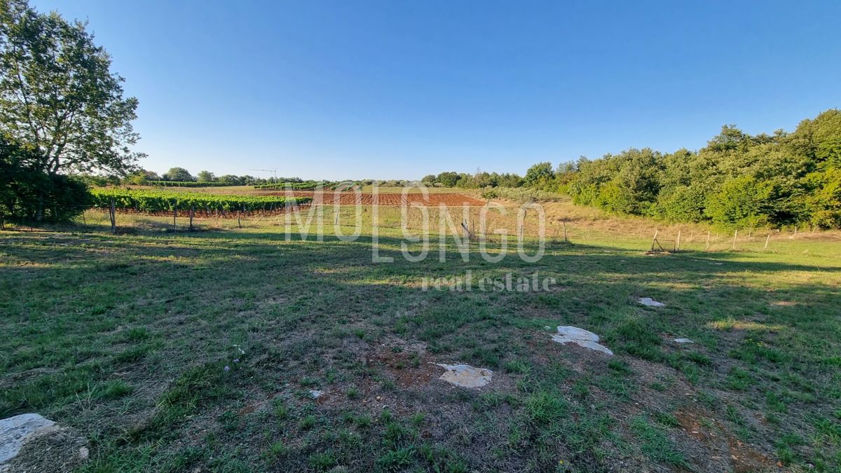 Terreno Medvidići, Sveti Lovreč, 544m2