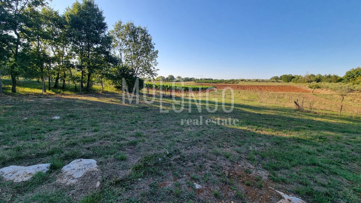 Terreno Medvidići, Sveti Lovreč, 544m2