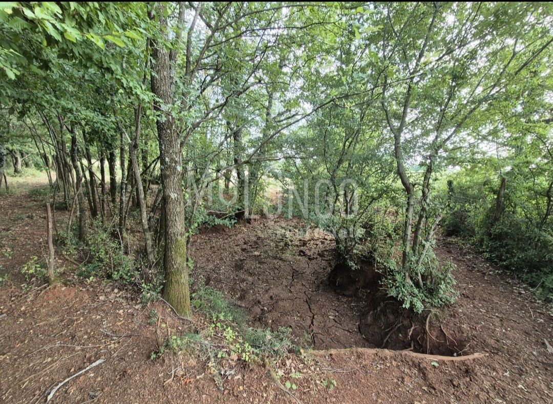 Terreno Cerjani, Kaštelir-Labinci, 24.118m2