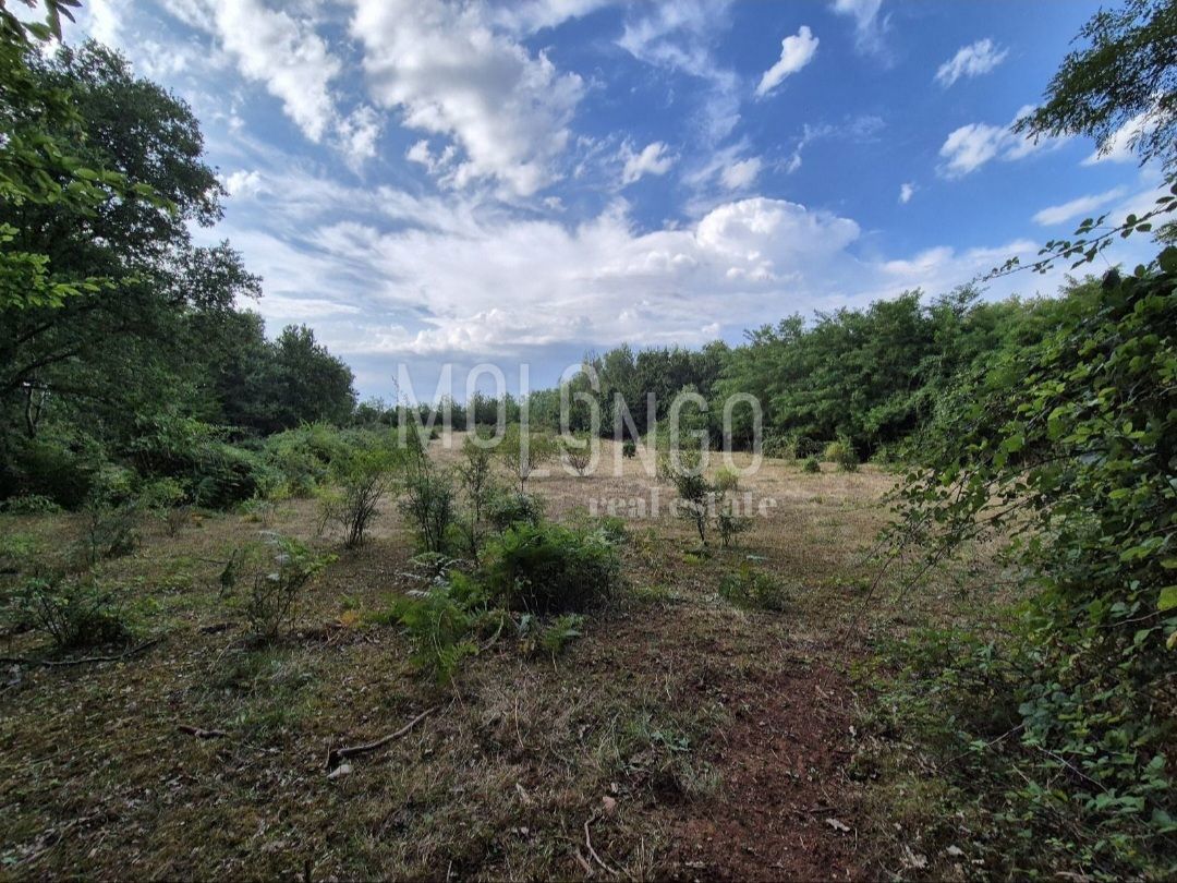 Terreno Cerjani, Kaštelir-Labinci, 24.118m2