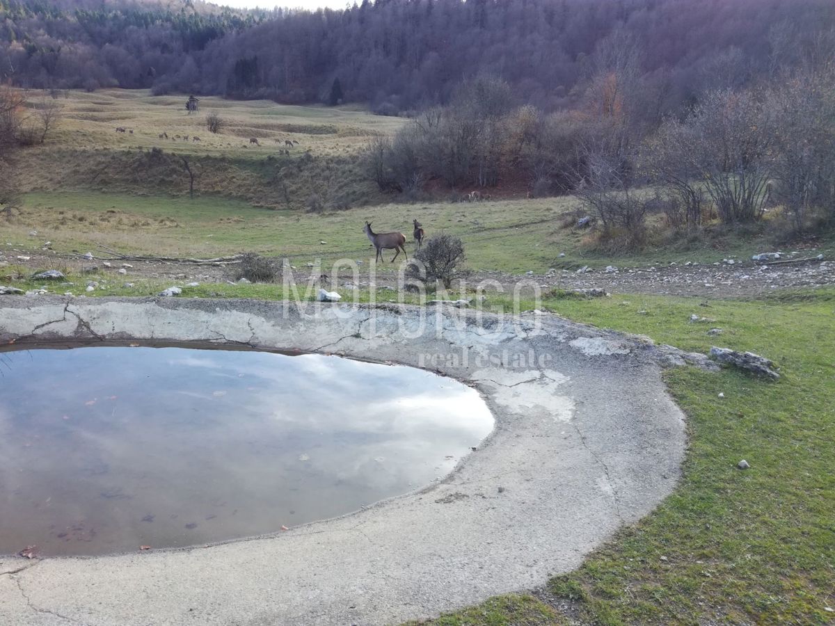 Terreno Ogulin, 5.008m2