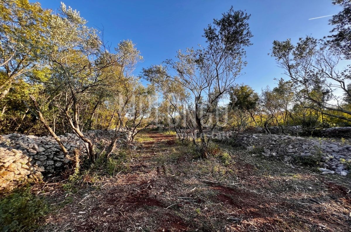 Terreno Vrbnik, 484m2