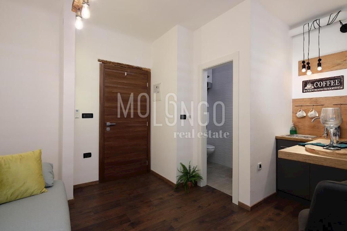 Appartamento/appartamento Centar, Rijeka, 105m2