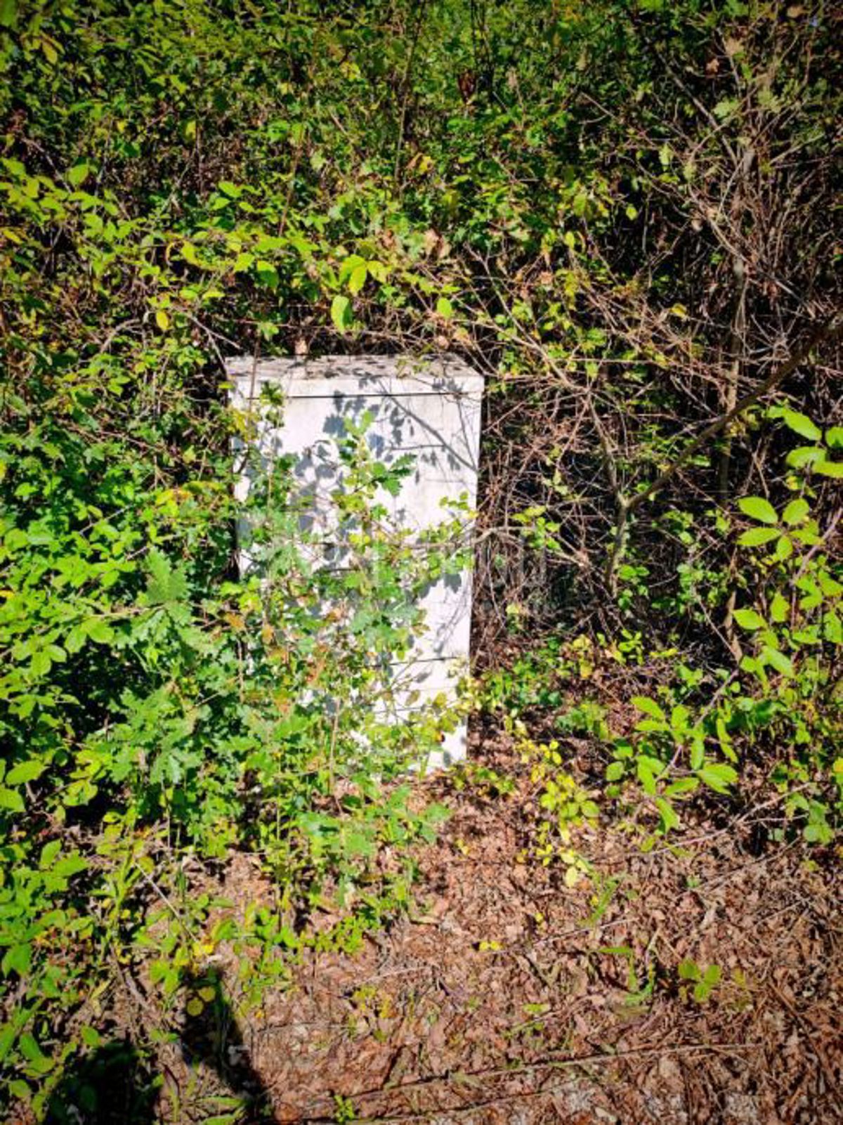 Terreno Veljaki, Kršan, VELJAKI, 761m2