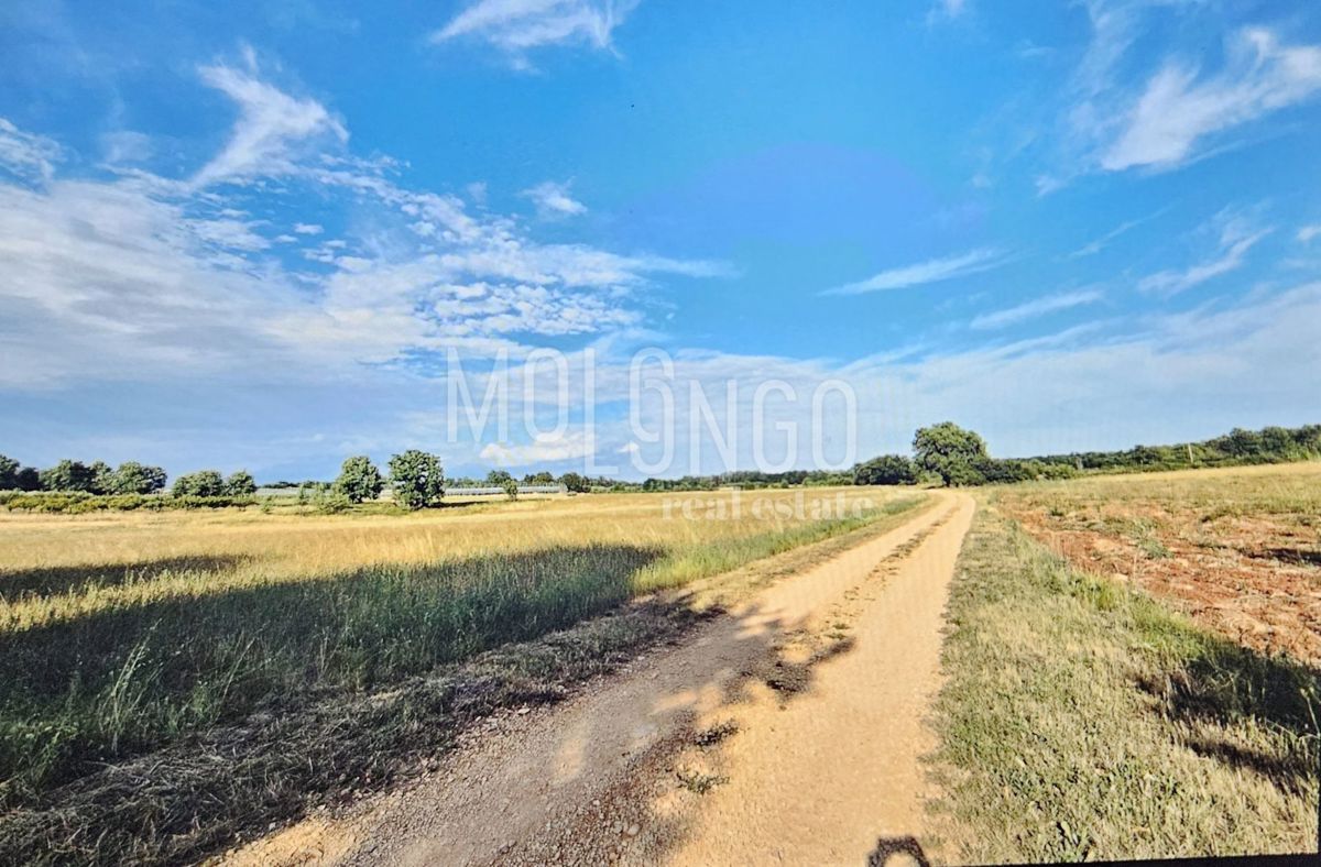 Terreno Cerjani, Kaštelir-Labinci, 32.600m2