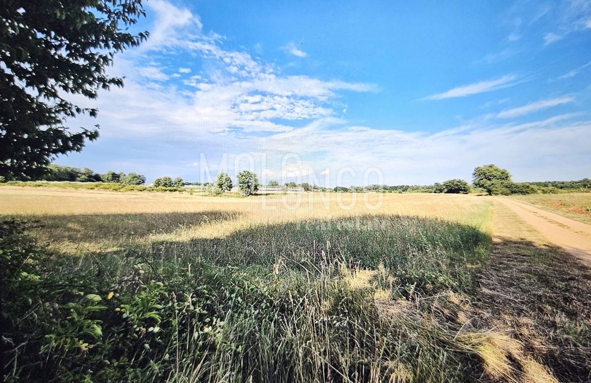 Terreno Cerjani, Kaštelir-Labinci, 32.600m2