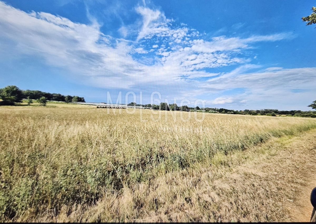 Terreno Cerjani, Kaštelir-Labinci, 32.600m2