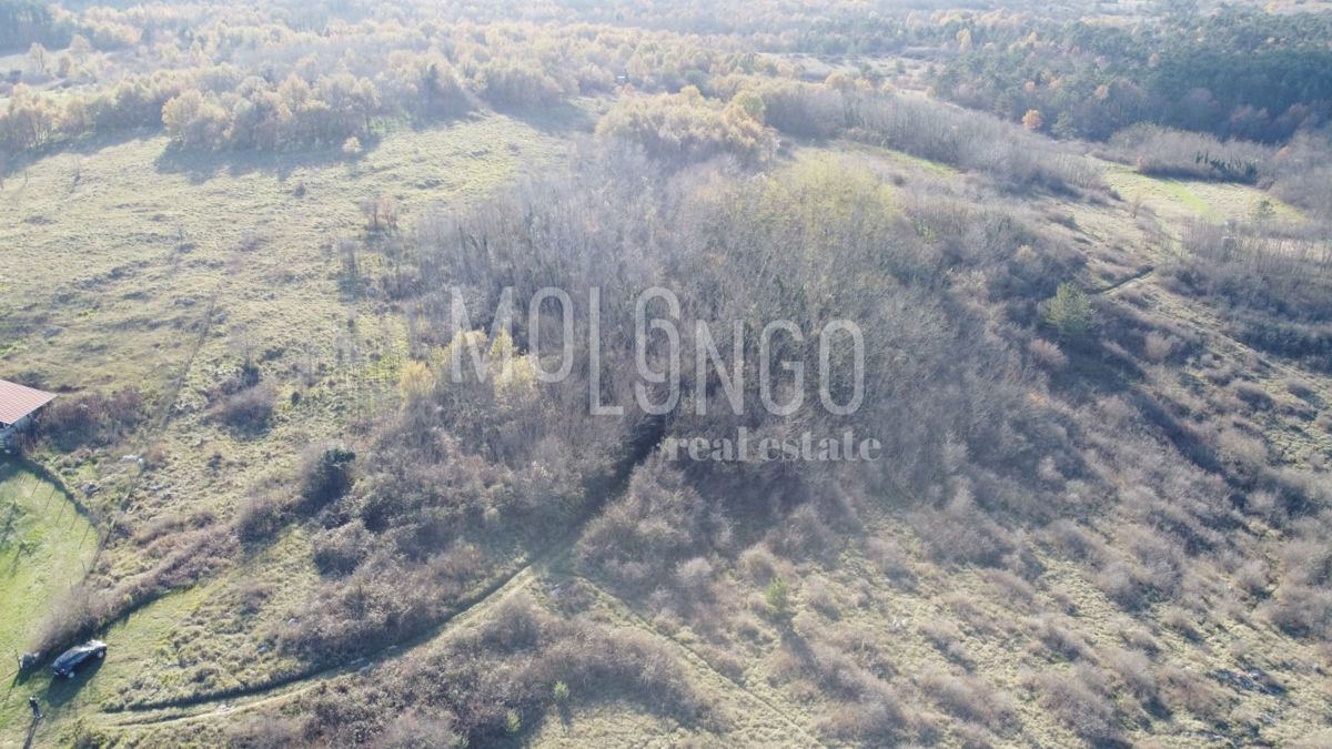 Terreno Trviž, Pazin - Okolica, 20.700m2
