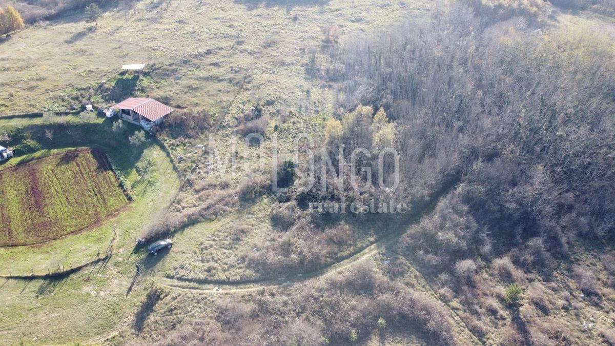 Terreno Trviž, Pazin - Okolica, 20.700m2