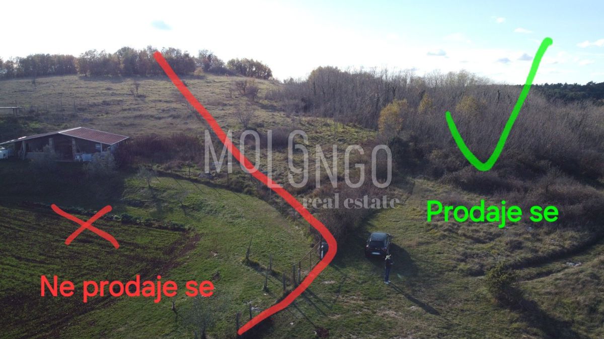 Terreno Trviž, Pazin - Okolica, 20.700m2