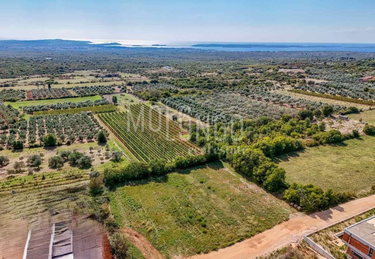 ISTRA, VODNJAN - Građevinsko zemljište s otvorenim pogledom na more