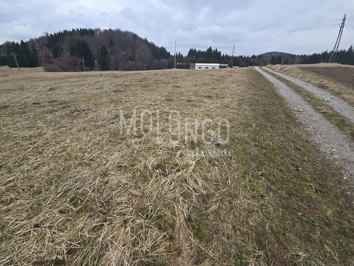 Commerciale Ravna Gora, 106m2