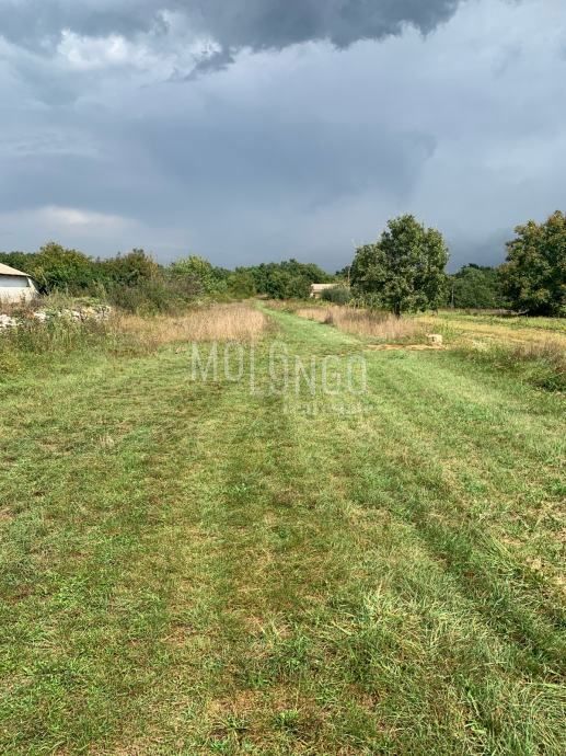 Terreno Režanci, Svetvinčenat, 3.000m2