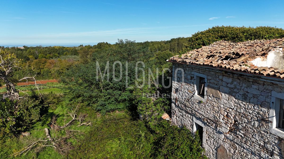 Terreno Vižinada, 5.000m2