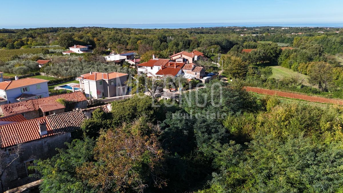 Terreno Vižinada, 5.000m2