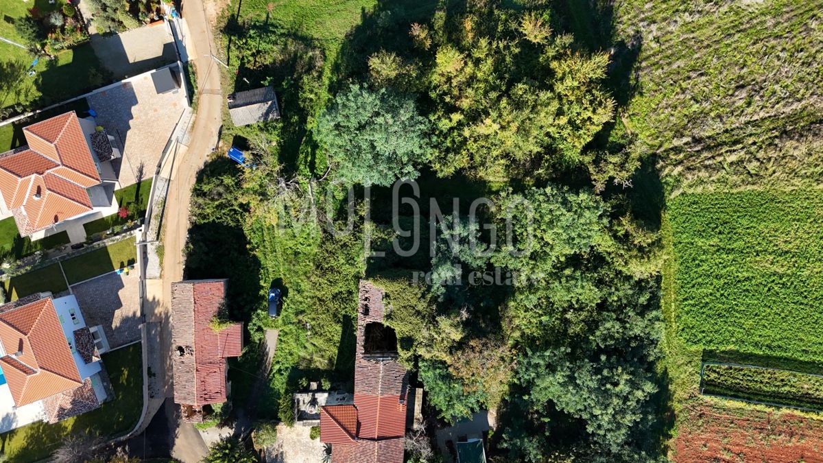 Terreno Vižinada, 5.000m2