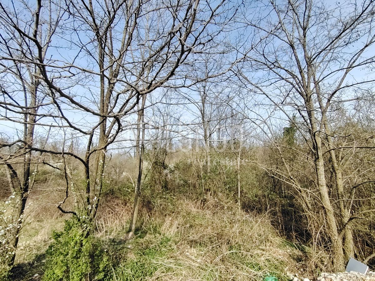 Terreno Jurdani, Matulji, 7.500m2