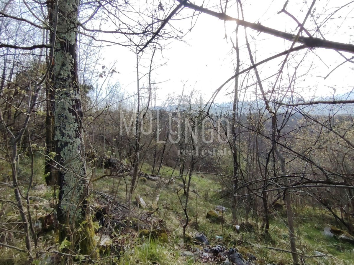 Terreno Jurdani, Matulji, 7.500m2