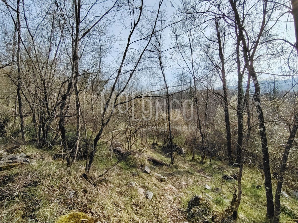 Terreno Jurdani, Matulji, 7.500m2