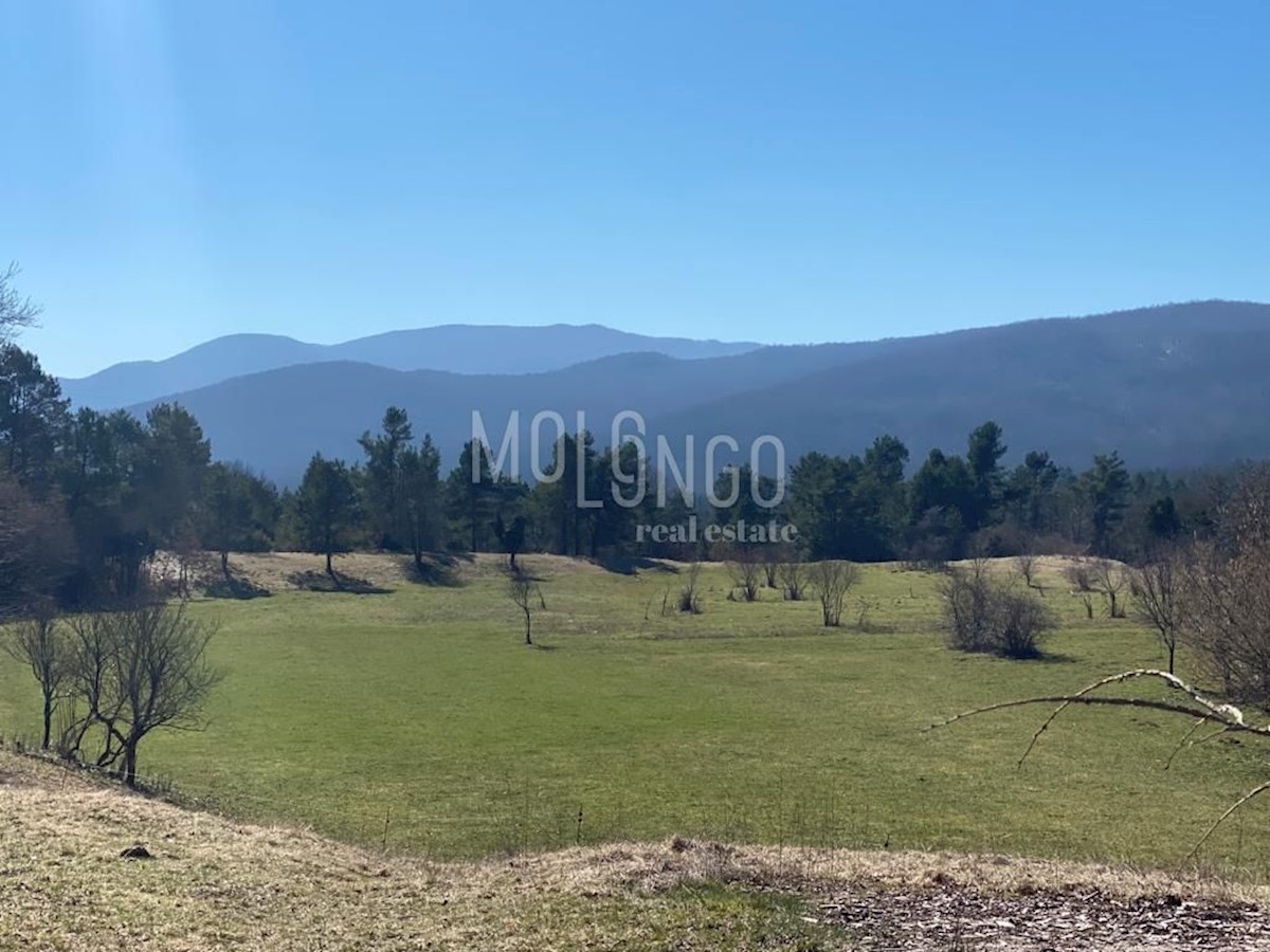 Terreno Šapjane, Matulji, 25.000m2